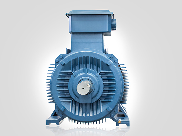 YE3-355M2-4