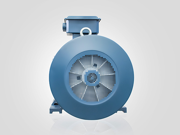 YE3-355M2-4